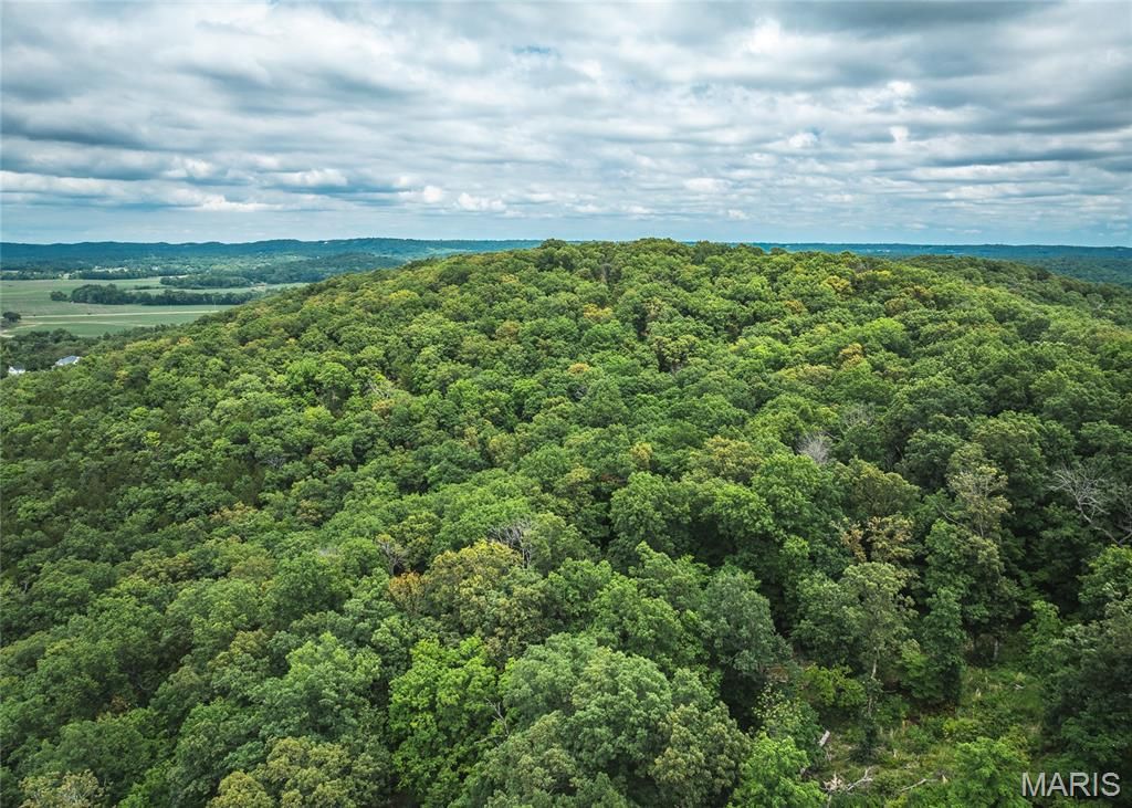 3 Trails Ends Trail, House Springs, MO 63051