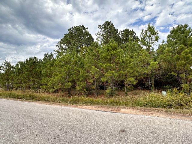 3116 County Road 3479b, Cleveland, TX 77327