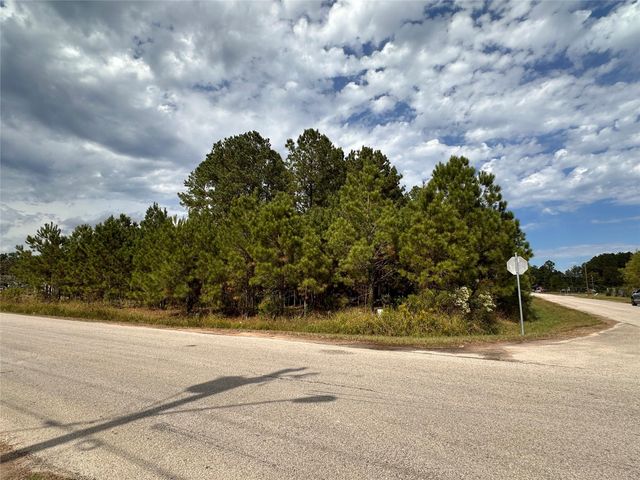 3116 County Road 3479b, Cleveland, TX 77327