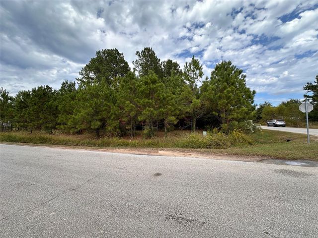 3116 County Road 3479b, Cleveland, TX 77327
