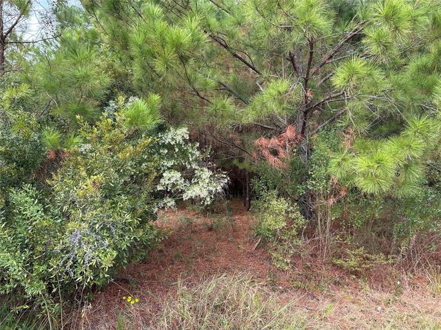 3116 County Road 3479b, Cleveland, TX 77327