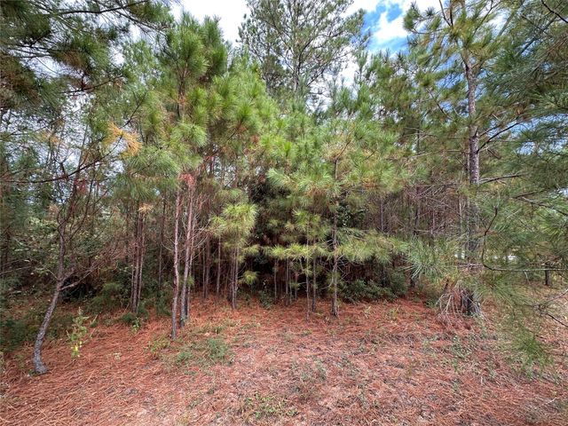 3116 County Road 3479b, Cleveland, TX 77327