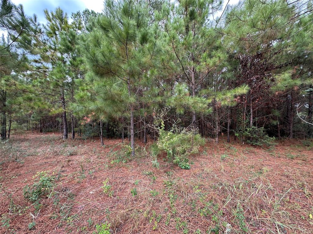 3116 County Road 3479b, Cleveland, TX 77327