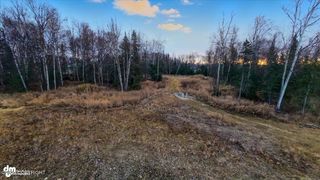 5645 N Stella Circle, Wasilla, AK 99654