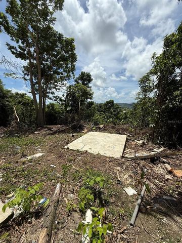 PR 944 KM 2.9, Gurabo, PR 00778