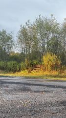 7 Woolworth Rd, Erin, TN 37061