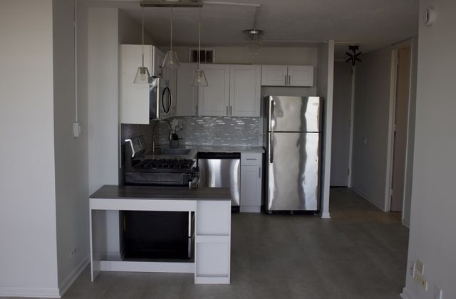 6700 S South Shore Drive 21E, Chicago, IL 60649