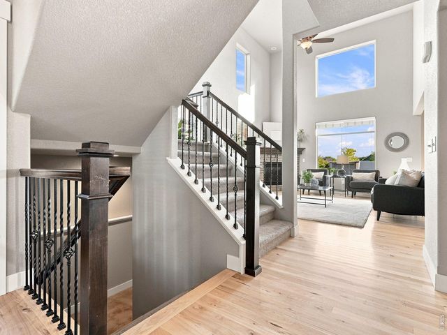 608 Vermilion Peak Dr, Windsor, CO 80550