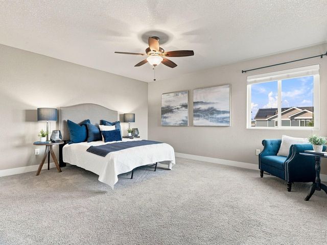 608 Vermilion Peak Dr, Windsor, CO 80550