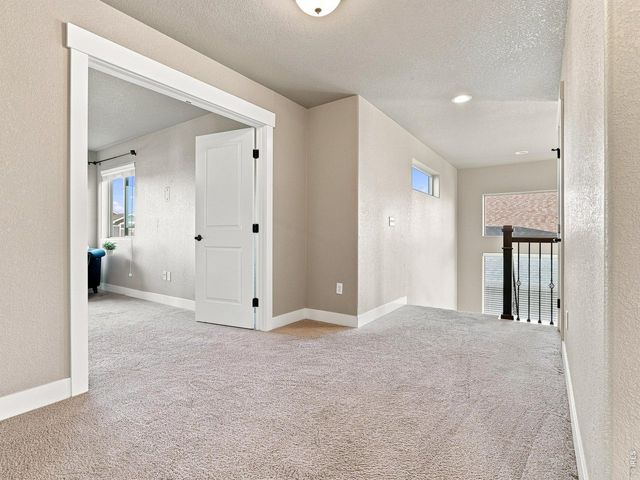 608 Vermilion Peak Dr, Windsor, CO 80550