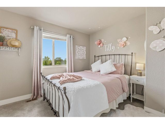 608 Vermilion Peak Dr, Windsor, CO 80550
