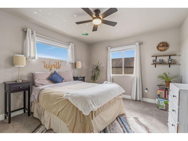 608 Vermilion Peak Dr, Windsor, CO 80550