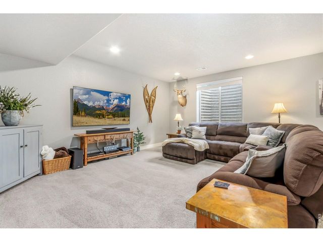 608 Vermilion Peak Dr, Windsor, CO 80550