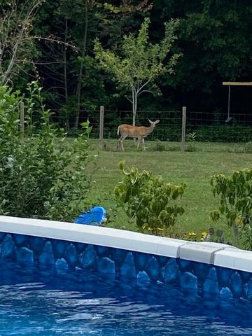 95 Floyd Ln, Decherd, TN 37324