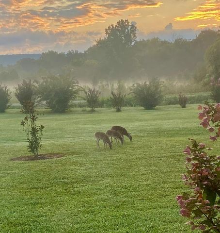 95 Floyd Ln, Decherd, TN 37324