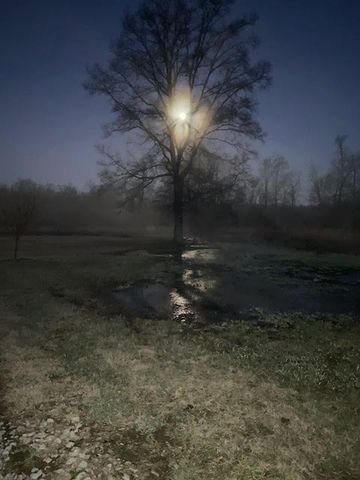 95 Floyd Ln, Decherd, TN 37324