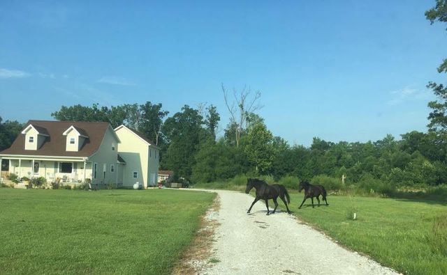 95 Floyd Ln, Decherd, TN 37324