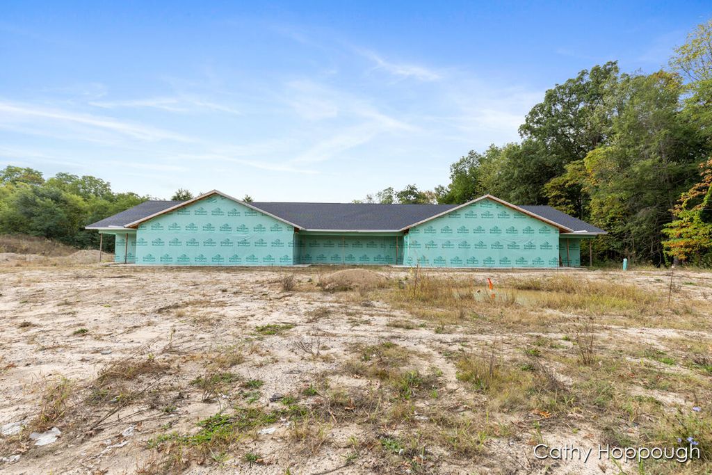 533 E Washington Street A,B,C,D, Ionia City, MI 48846