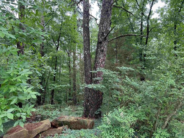 Lots 3 & 4 Block 6 Glenwood Addition, Heber Springs, AR 72543
