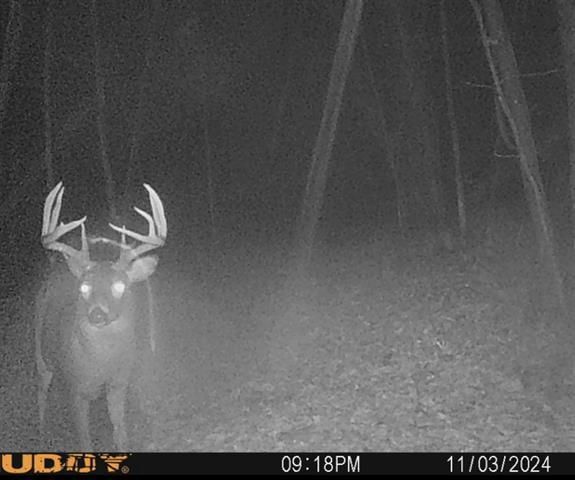 W7113 Leigh Road, Mauston, WI 53948