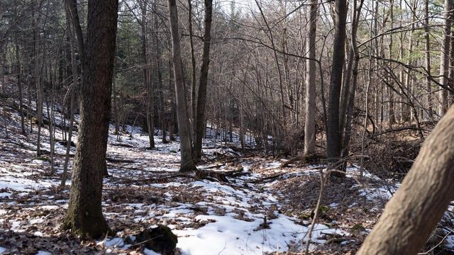 W7113 Leigh Road, Mauston, WI 53948