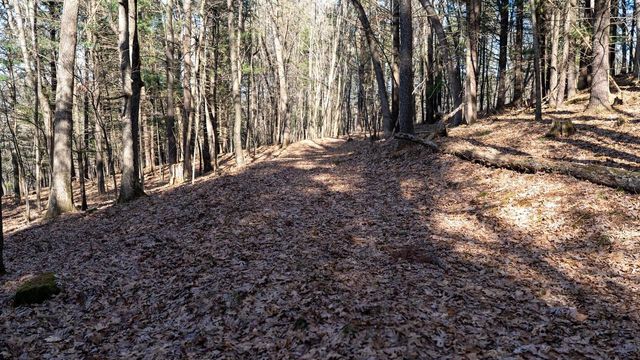 W7113 Leigh Road, Mauston, WI 53948