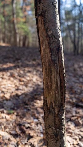 W7113 Leigh Road, Mauston, WI 53948