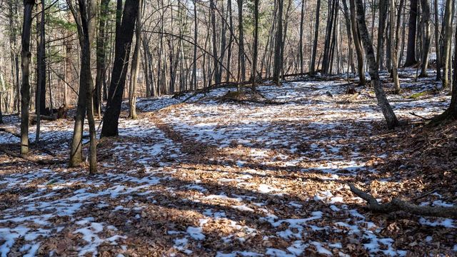 W7113 Leigh Road, Mauston, WI 53948