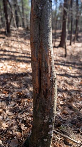 W7113 Leigh Road, Mauston, WI 53948