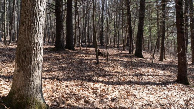 W7113 Leigh Road, Mauston, WI 53948