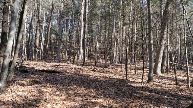 W7113 Leigh Road, Mauston, WI 53948