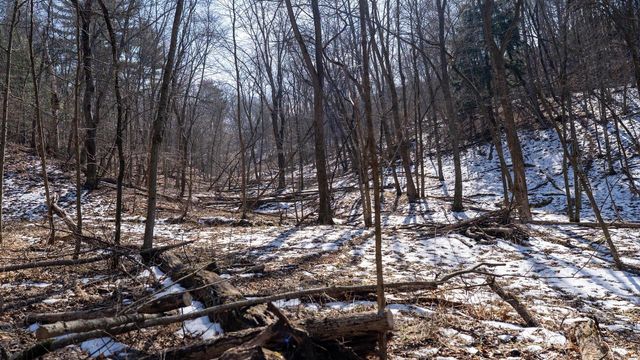 W7113 Leigh Road, Mauston, WI 53948