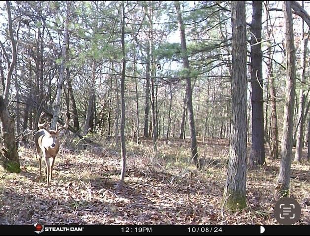 W7113 Leigh Road, Mauston, WI 53948