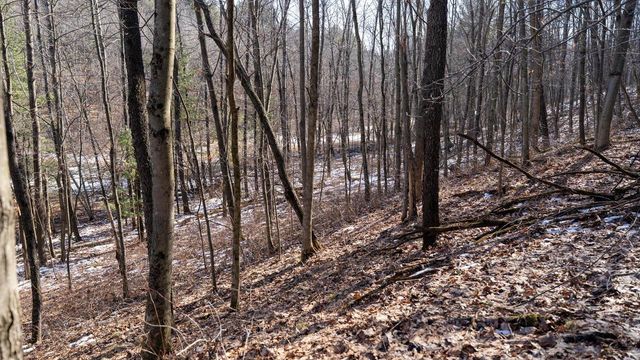 W7113 Leigh Road, Mauston, WI 53948