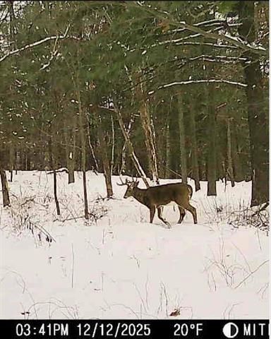 W7113 Leigh Road, Mauston, WI 53948