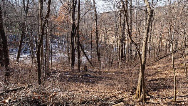 W7113 Leigh Road, Mauston, WI 53948