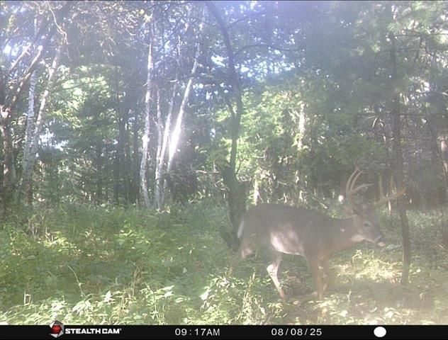 W7113 Leigh Road, Mauston, WI 53948