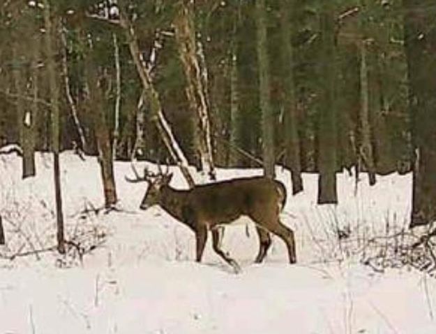 W7113 Leigh Road, Mauston, WI 53948