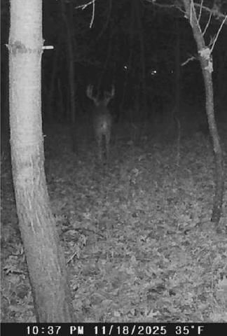 W7113 Leigh Road, Mauston, WI 53948