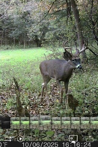 W7113 Leigh Road, Mauston, WI 53948