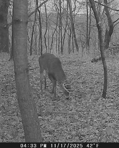 W7113 Leigh Road, Mauston, WI 53948