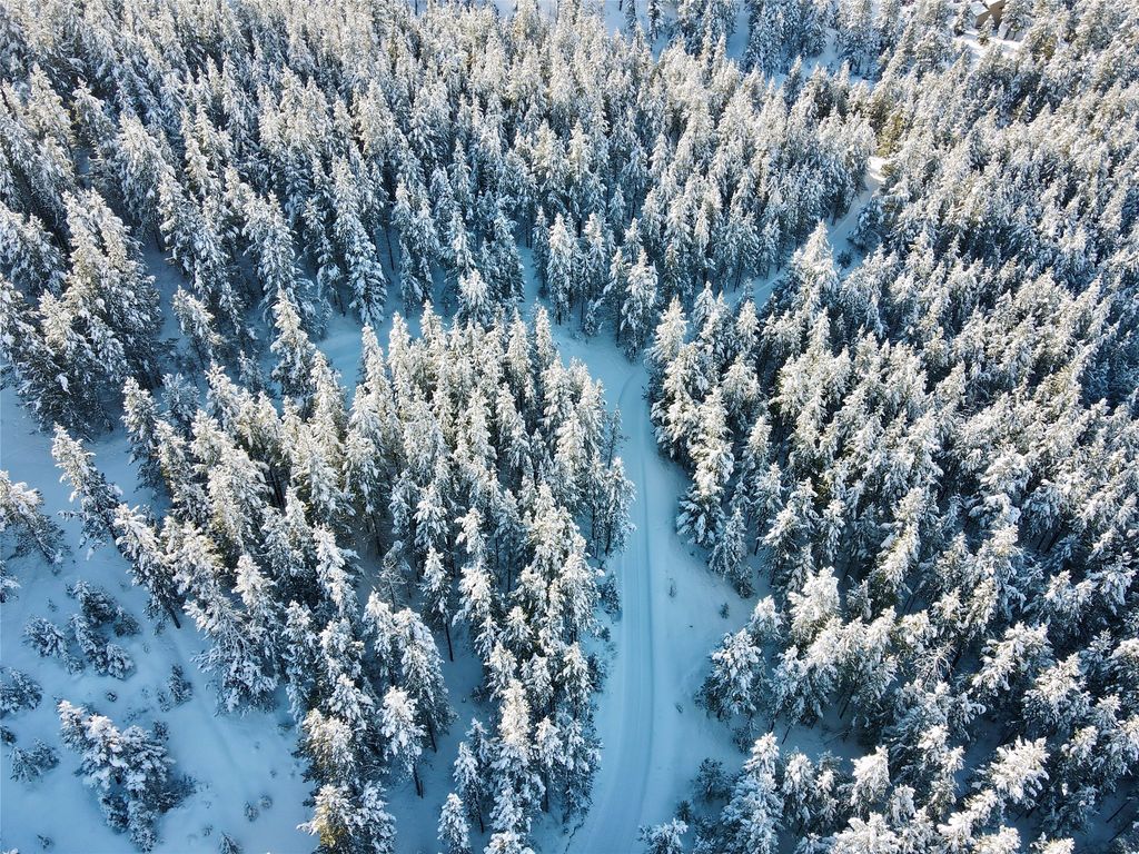 770 Mountain Moose Road, Bozeman, MT 59715 photo 20