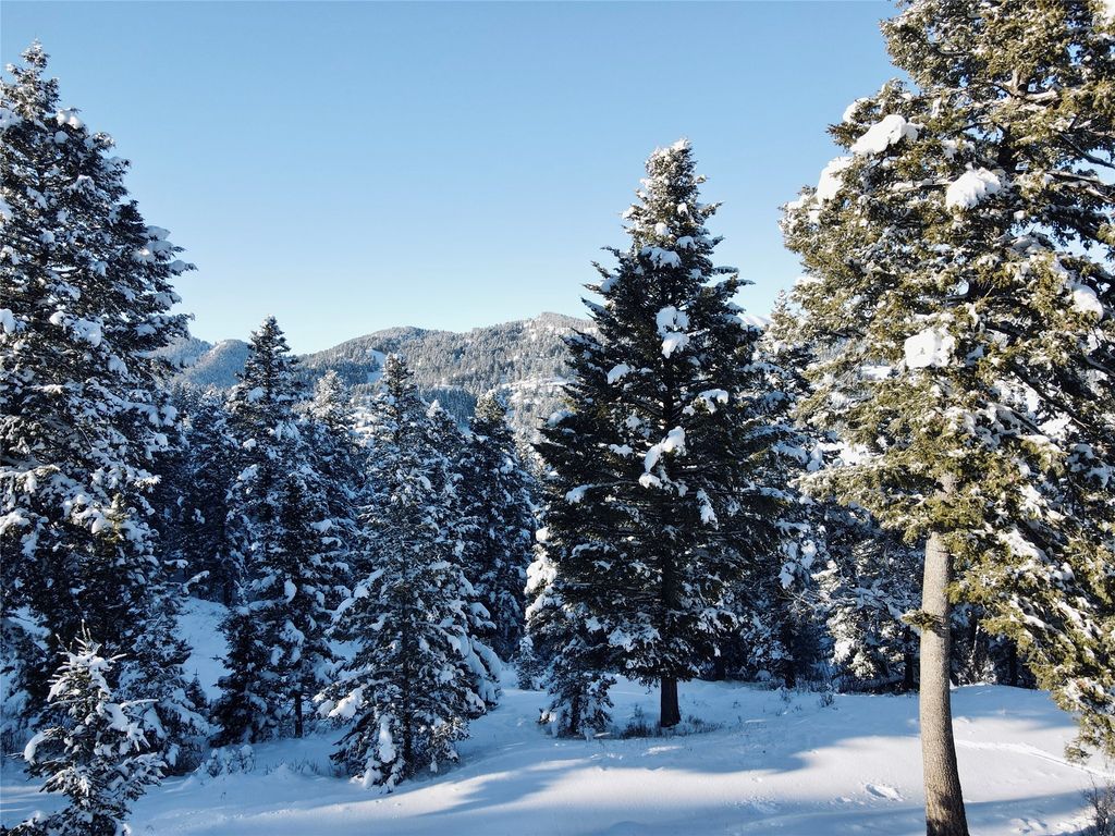 770 Mountain Moose Road, Bozeman, MT 59715 photo 45