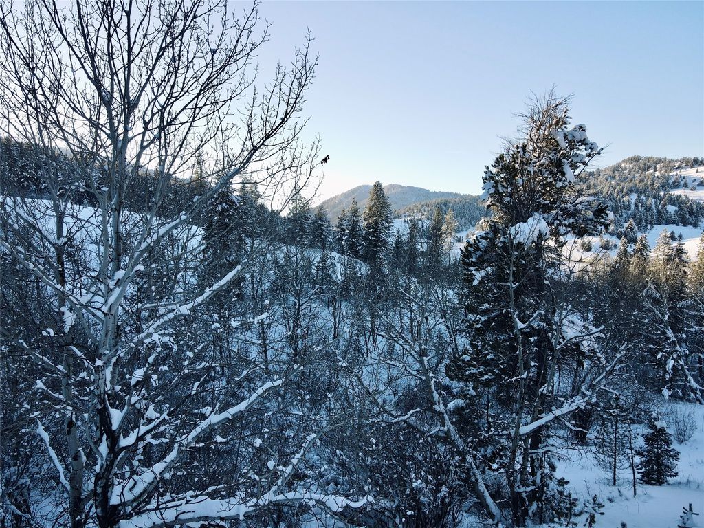 770 Mountain Moose Road, Bozeman, MT 59715 photo 56