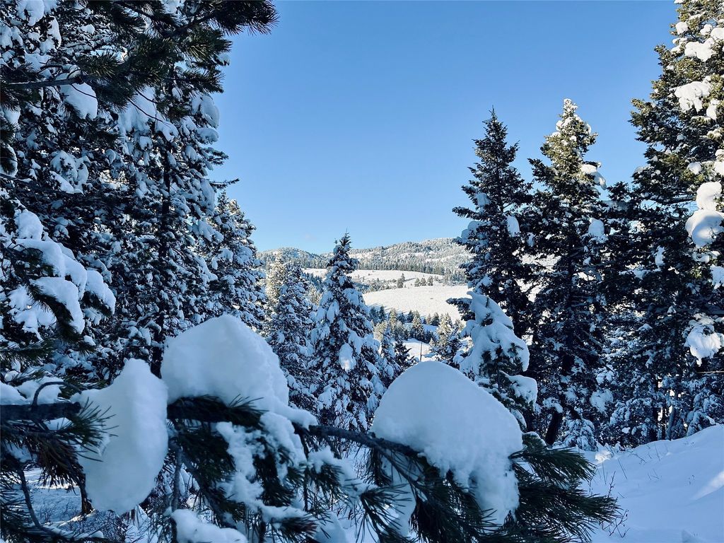 770 Mountain Moose Road, Bozeman, MT 59715 photo 67