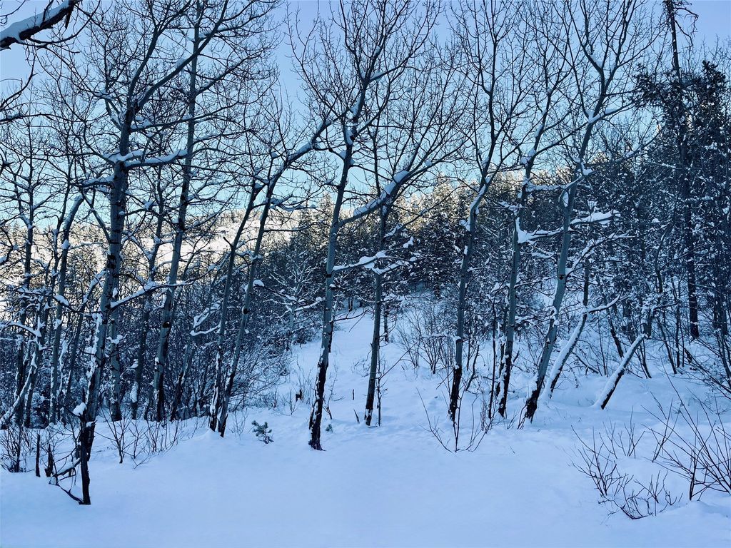 770 Mountain Moose Road, Bozeman, MT 59715 photo 70