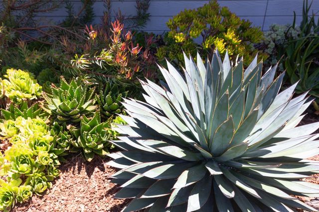 1739 Katrina Court, Santa Cruz, CA 95062