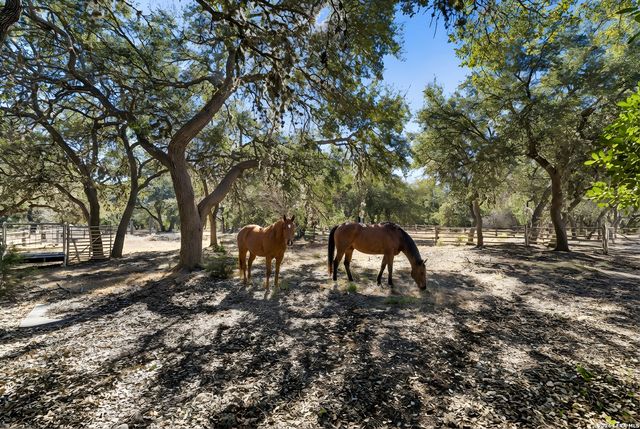 5301 W Ammann, Bulverde, TX 78163