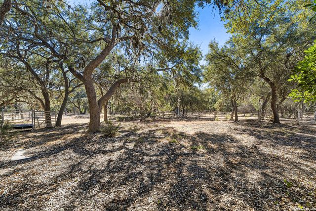 5301 W Ammann, Bulverde, TX 78163