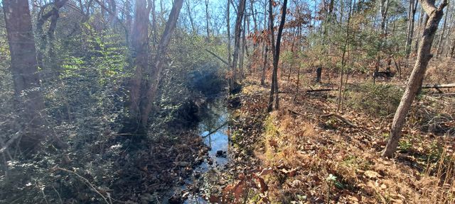 0 NW Piney Road, Dickson, TN 37055